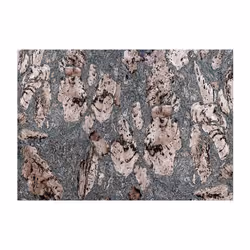 Planete Discount PD13856-200-140 papier-peint Papier peint non tissé Gris