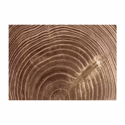 Planete Discount PD13869-100-70 papier-peint Papier peint non tissé