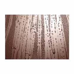 Papier peint intissé Fonds et Dessins Autumn drizzle - PD13875-400-280