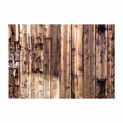 Papier peint intissé Fonds et Dessins Poetry Of Wood - PD13889-400-280