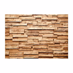 Papier peint intissé Fonds et Dessins Palisade - PD13890-400-280