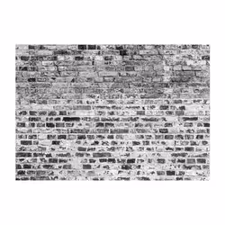 Papier peint intissé Fonds et Dessins Border of Greynesses - PD13892-400-280