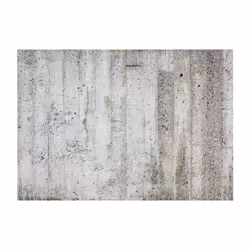Papier peint intissé Fonds et Dessins Grey Emperor - PD13919-400-280