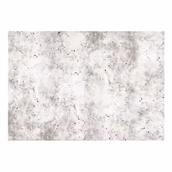 Papier peint intissé Fonds et Dessins Urban Style: Concrete - PD13937-400-280