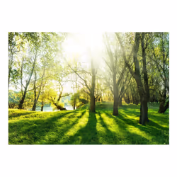 Papier peint intissé Paysages Sunny May Day - PD14341-400-280