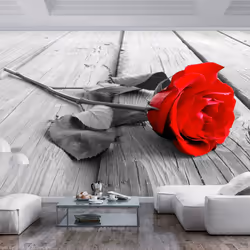 Planete Discount PD13560-250-175