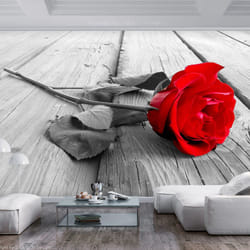 Planete Discount PD13560-250-175 papier-peint
