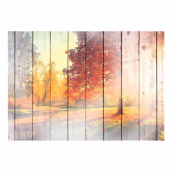 Papier peint intissé Paysages Autumn Sun - PD14342-400-280