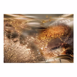 Papier peint intissé Fleurs Dandelions' World (Gold) - PD13561-400-280