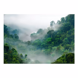 Papier peint intissé Paysages Morning Fog - PD14345-400-280