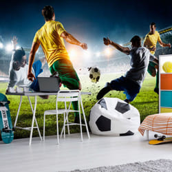 Papier peint intissé Hobby Decisive Tackle - PD14159-400-280