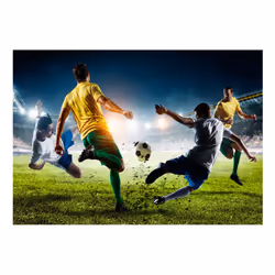Papier peint intissé Hobby Decisive Tackle - PD14159-400-280
