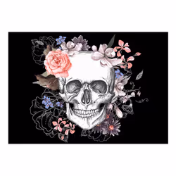 Planete Discount PD13425-350-245 papier-peint Papier peint non tissé Noir, Rose, Violet, Blanc
