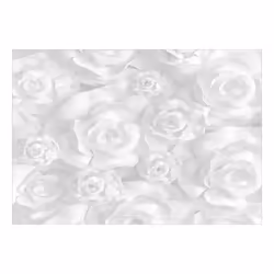 Planete Discount PD13570-200-140 papier-peint Papier peint non tissé Gris, Blanc