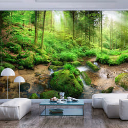Papier peint intissé Paysages Humid Forest - PD14351-400-280