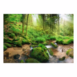 Papier peint intissé Paysages Humid Forest - PD14351-400-280
