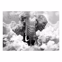 Papier peint intissé Animaux Elephant in the Clouds (Black and White) - PD13259-400-280