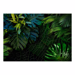 Planete Discount PD14356-200-140 papier-peint Papier peint non tissé Noir, Vert