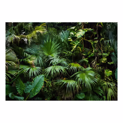 Papier peint intissé Paysages Sunny Jungle - PD14357-400-280