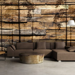Papier peint intissé Fonds et Dessins Shadow of Trees - PD13967-400-280
