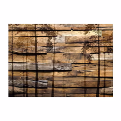 Papier peint intissé Fonds et Dessins Shadow of Trees - PD13967-400-280