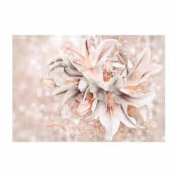 Planete Discount PD13573-250-175 papier-peint Papier peint non tissé Crème, Orange, Blanc