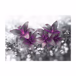 Planete Discount PD13578-100-70 papier-peint Papier peint non tissé Noir, Violet, Blanc