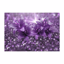 Planete Discount PD13581-100-70 papier-peint Papier peint non tissé Violet