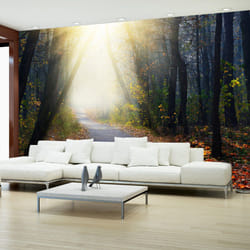 Papier peint intissé Paysages Road through the Forest - PD14360-400-280