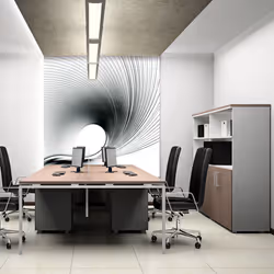 Planete Discount PD13146-300-231, Papier peint non tissé, Noir, Blanc, Noir Et Blanc, 120 g/m², Abstract fan, 3000 mm