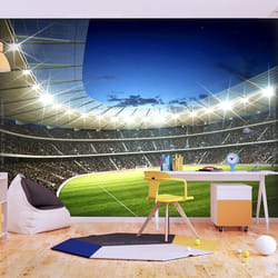Papier peint intissé Hobby Stade national - PD14164-400-309