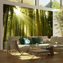 Papier peint intissé Paysages Forêt de pins - PD14363-400-309