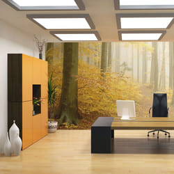 Papier peint intissé Paysages forêt - automne - PD14364-400-309