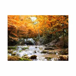 Papier peint intissé Paysages automne - chute d'eau - PD14366-400-309