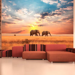 Papier peint intissé Paysages Éléphants de savane d'Afrique - PD14368-400-309