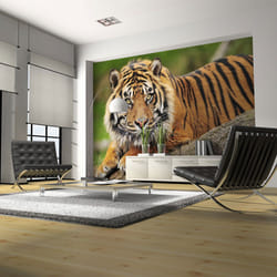 Papier peint intissé Animaux Tigre de Sumatra - PD13262-400-309