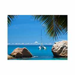 Planete Discount PD14370-350-270 papier-peint Papier peint non tissé Bleu, Vert, Turquoise, Blanc