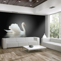Papier peint intissé Animaux cygne (noir et blanc) - PD13263-400-309