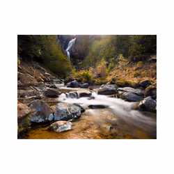 Papier peint intissé Paysages Ohakune - Waterfalls in New Zealand - PD14372-400-309