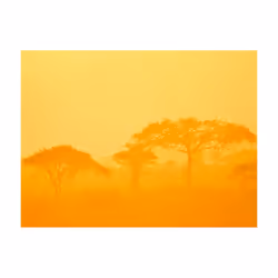 Planete Discount PD14374-200-154 papier-peint Papier peint non tissé Orange, Jaune