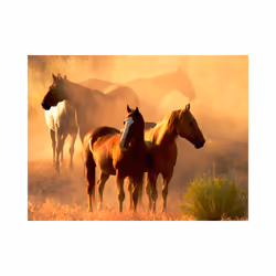 Papier peint intissé Animaux Chevaux sauvages en pleine steppe - PD13264-400-309