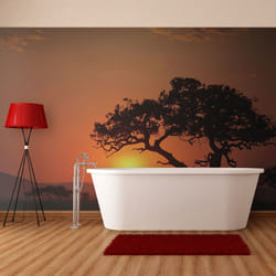 Papier peint intissé Paysages Afrique: coucher de soleil - PD14380-400-309