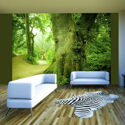 Papier peint intissé Paysages Chemin forestier - PD14381-400-309