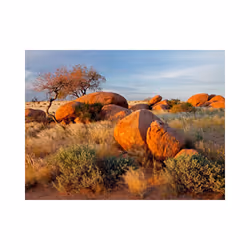 Papier peint intissé Paysages Paysage africain, Namibie - PD14382-400-309