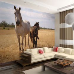 Papier peint intissé Animaux Cheval et poulain - PD13265-400-309