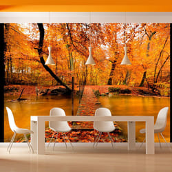 Papier peint intissé Paysages Passerelle en bois dans la forêt - PD14386-400-309