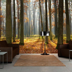 Papier peint intissé Paysages Autumn trees - PD14389-400-309