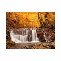 Papier peint intissé Paysages Autumn landscape : waterfall in forest - PD14399-400-309