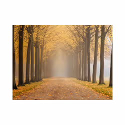 Papier peint intissé Paysages Journey to the unknown - PD14409-400-309