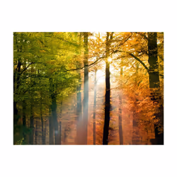 Papier peint intissé Paysages Bel automne - PD14410-400-309